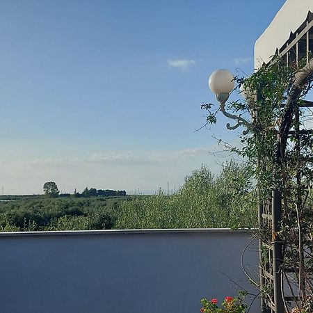 La Villa Del Conte Barletta Extérieur photo