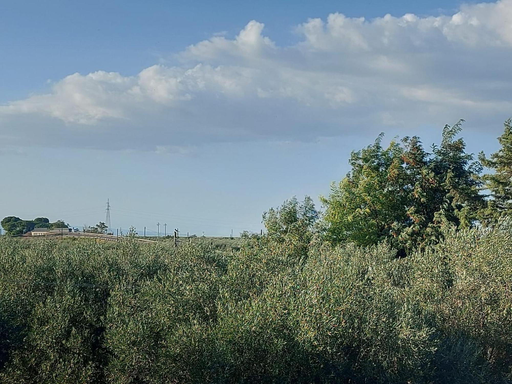 La Villa Del Conte Barletta Extérieur photo