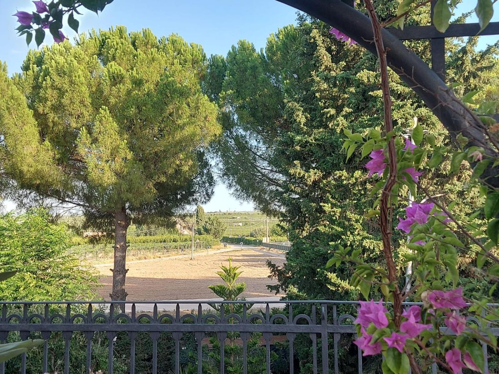 La Villa Del Conte Barletta Extérieur photo