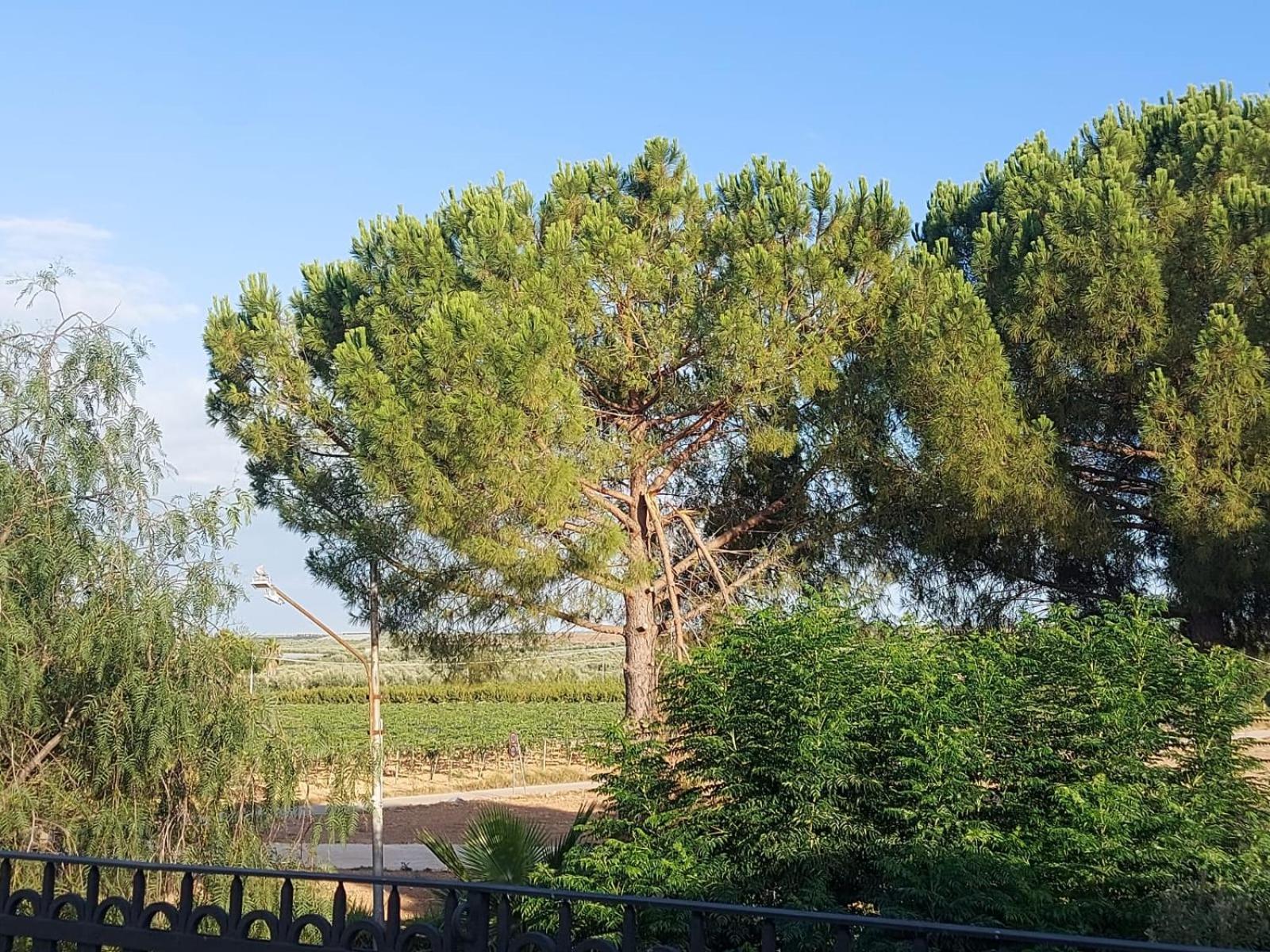 La Villa Del Conte Barletta Extérieur photo
